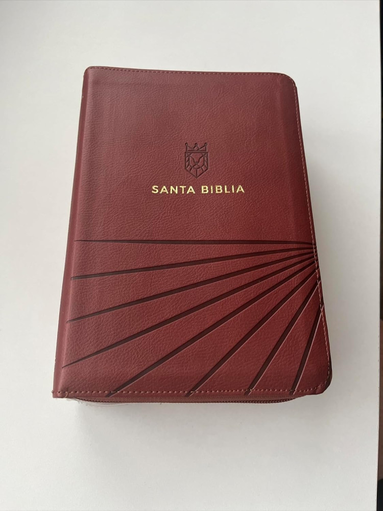 Spanisch, Bibel, Reina Valera 1960, Café, Kunstleder, Reissverschluss