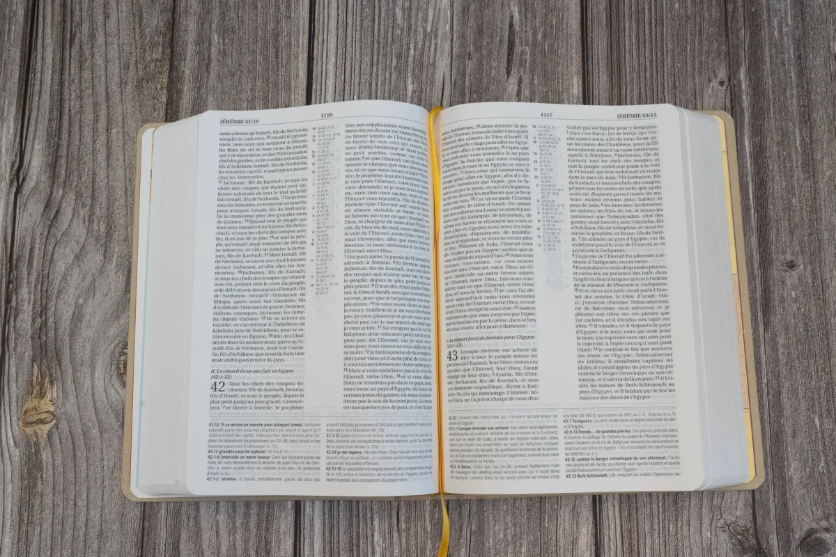 Studienbibel Segond NEG MacArthur, französisch - Softcover, beige Leineneinband