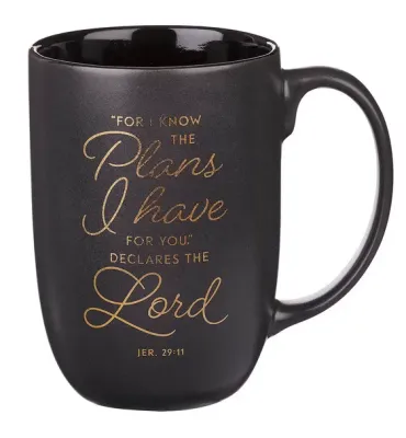 Tasse - Ich kenne die Pläne - grau, 444ml