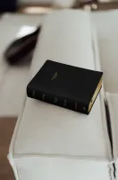 Schlachter Liebezurbibel (Schreibrandbibel Sola) - Flexibler Kunstledereinband - Schwarz mit...