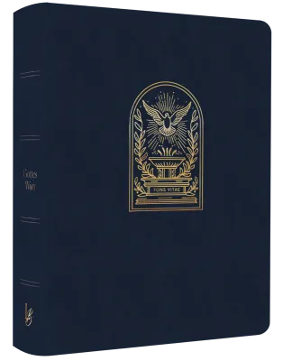 Schlachter Liebezurbibel (Schreibrandbibel Fons Vitae) - Flexibler Kunstledereinband - Blau mit...