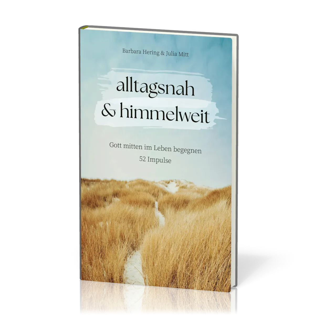 Alltagsnah & himmelweit - Gott mitten im Leben begegnen. 52 Impulse