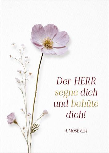 Postkarte Der Herr segne dich - 4. Mose 6,24