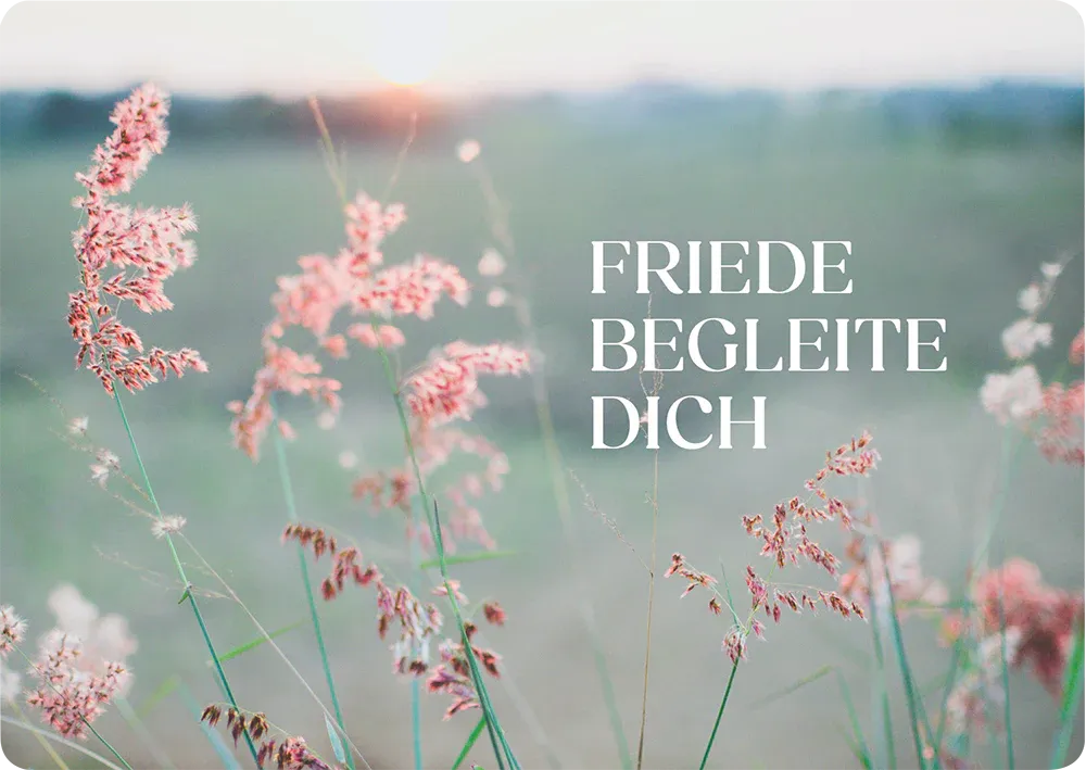 Friede begleite dich - Postkarte