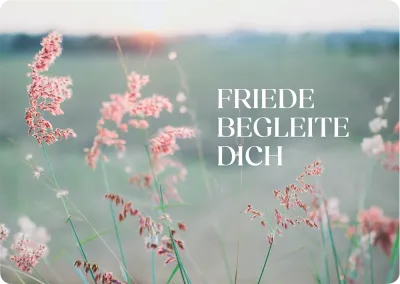 Friede begleite dich - Postkarte