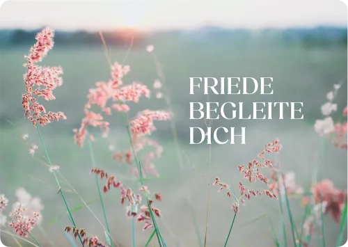 Friede begleite dich - Postkarte