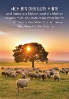 Jesus Worte - Karten-Box (55 Karten)