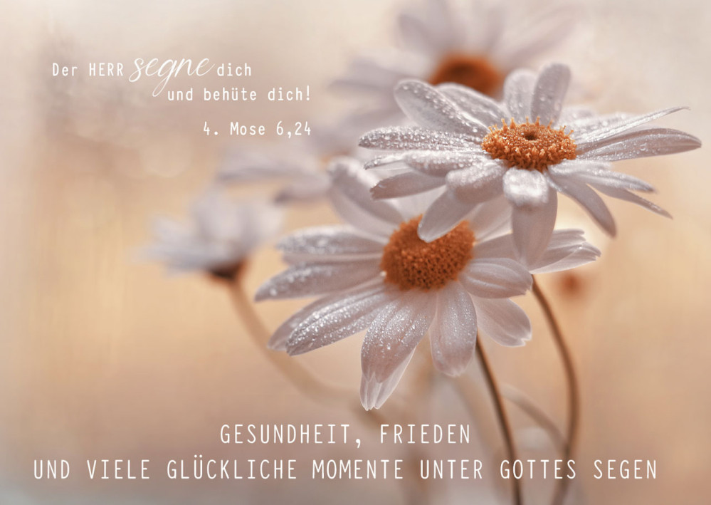 Postkarte Geburtstag - 4. Mose 6,24