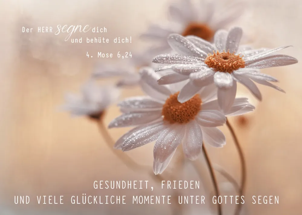 Postkarte Geburtstag - 4. Mose 6,24