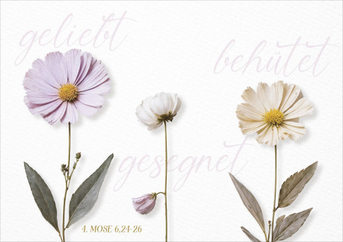 Faltkarte geliebt - behütet - gesegnet - 4. Mose 6,24-26