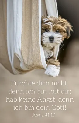Postkarte Jahreslosung 2027 Hund - Jesaja 41,10