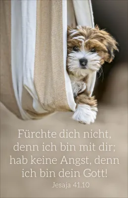 Poster A4 Jahreslosung 2027 Hund - Jesaja 41,10