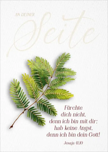 Poster A3 Jahreslosung 2027 Zweig - Jesaja 41,10