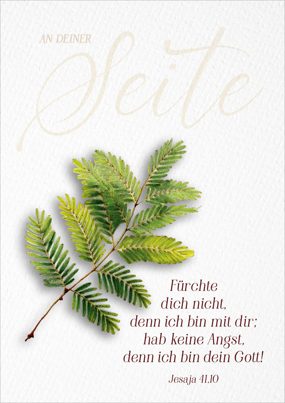 Poster A2 Jahreslsoung 2027 Zweig - Jesaja 41,10
