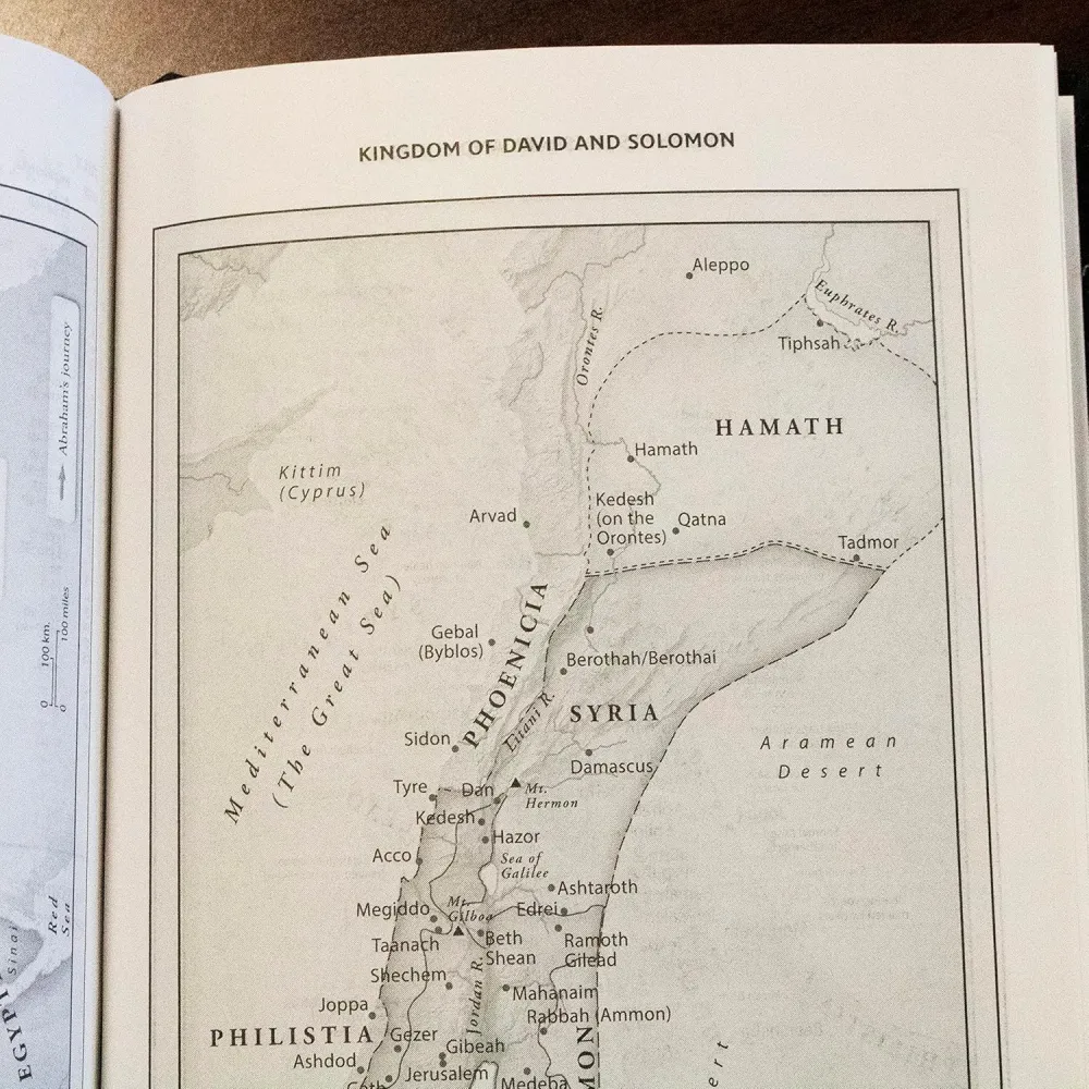Englisch, Bibel New King James Version, Grossdruck, blau