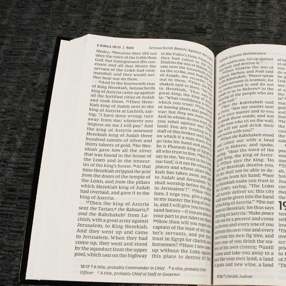 Englisch, Bibel New King James Version, Grossdruck, blau