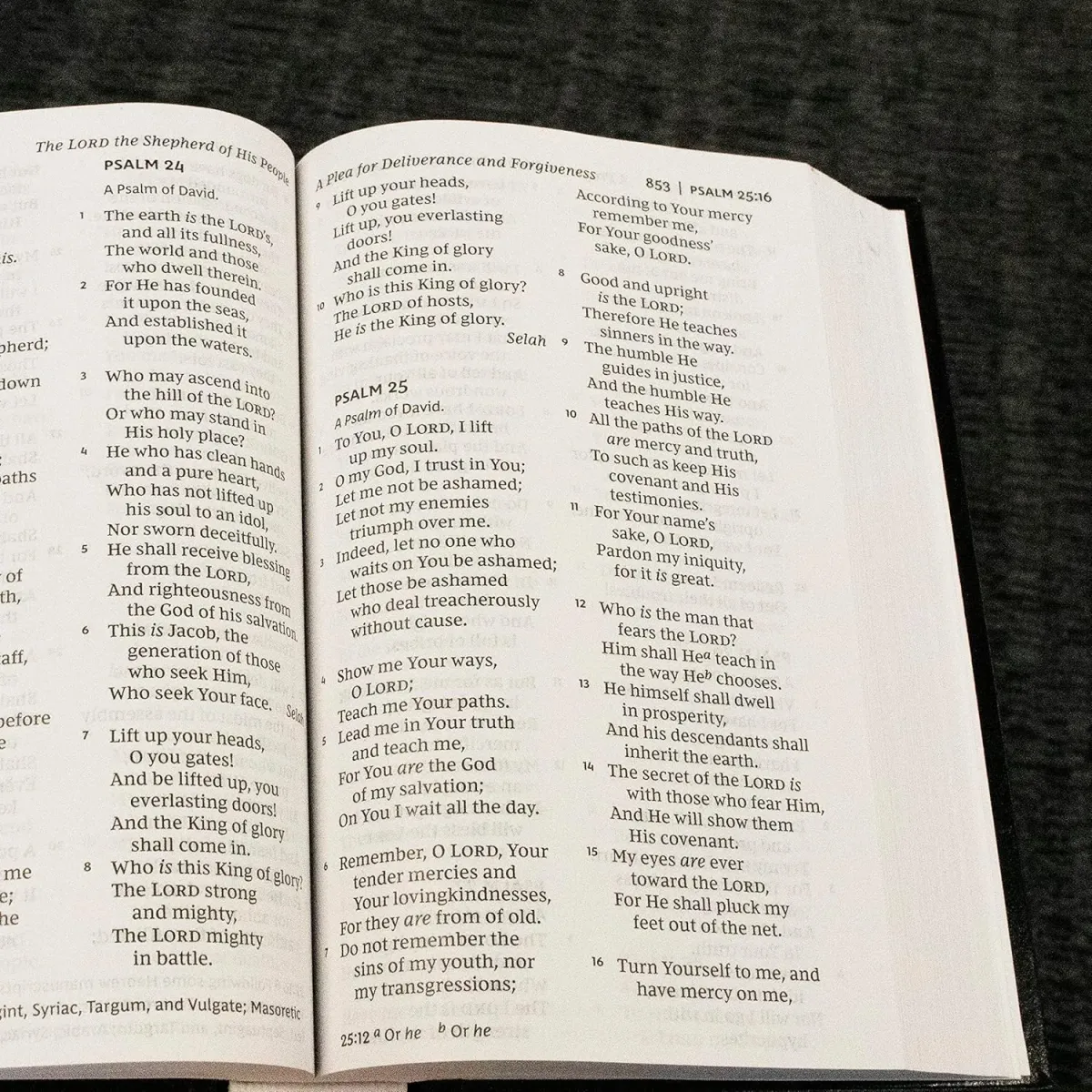 Englisch, Bibel New King James Version, Grossdruck, blau