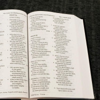 Englisch, Bibel New King James Version, Grossdruck, bordeaux