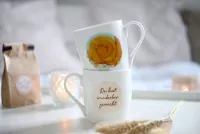 Tasse - Bei Gott bist du geborgen - weiss, 280ml, Eichhörnchen