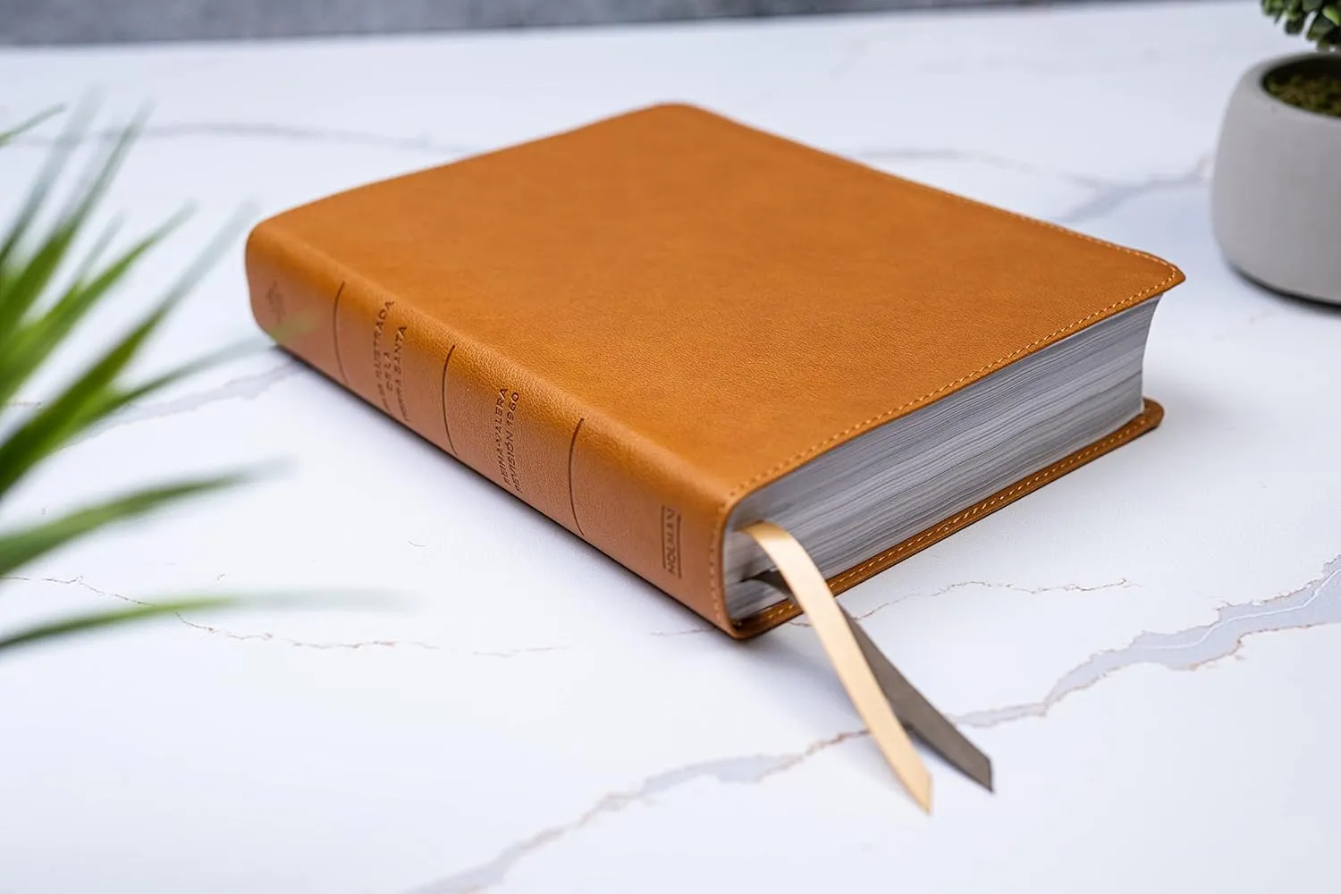 Spanisch, Studienbibel Reina Valera 1960, Grossdruck mit Bilder Israels - gebunden Kunstleder braun