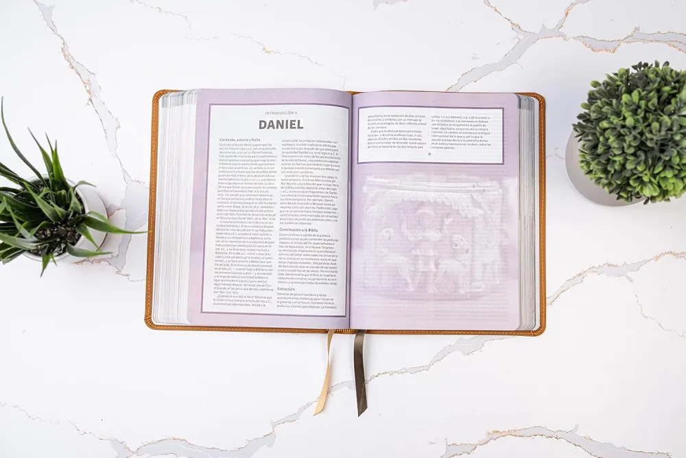 Spanisch, Studienbibel Reina Valera 1960, Grossdruck mit Bilder Israels - gebunden Kunstleder braun