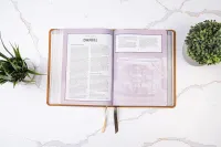 Spanisch, Studienbibel Reina Valera 1960, Grossdruck mit Bilder Israels - gebunden Kunstleder braun