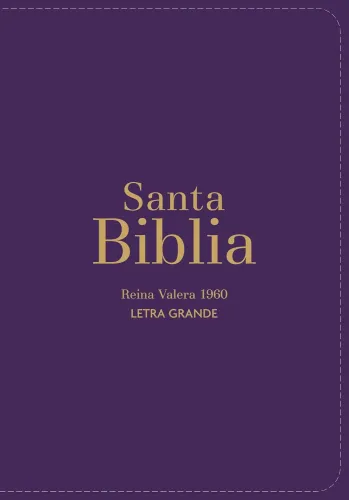 Espagnol, Bible, Reina Valera 1960, compacte, grands caractères, similicuir violet - Biblia Rvr...