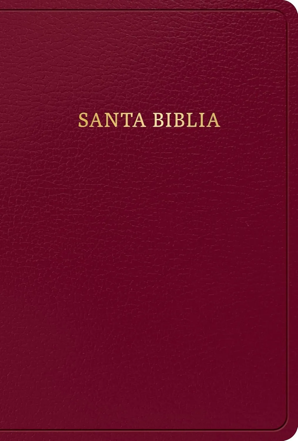 Espagnol, Bible, Reina Valera 1960, moyen format, gros caractères,similicuir bordeaux - Rvr 1960...