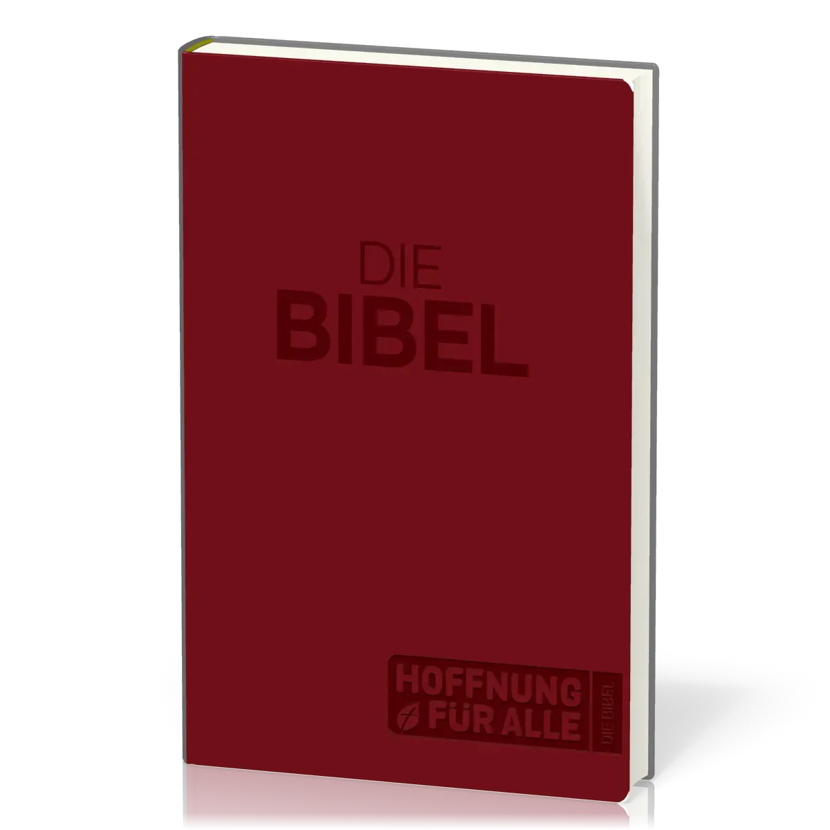 Hoffnung für alle Bibel Grossdruck - Extragroßformat 18,2 x 27,8 cm