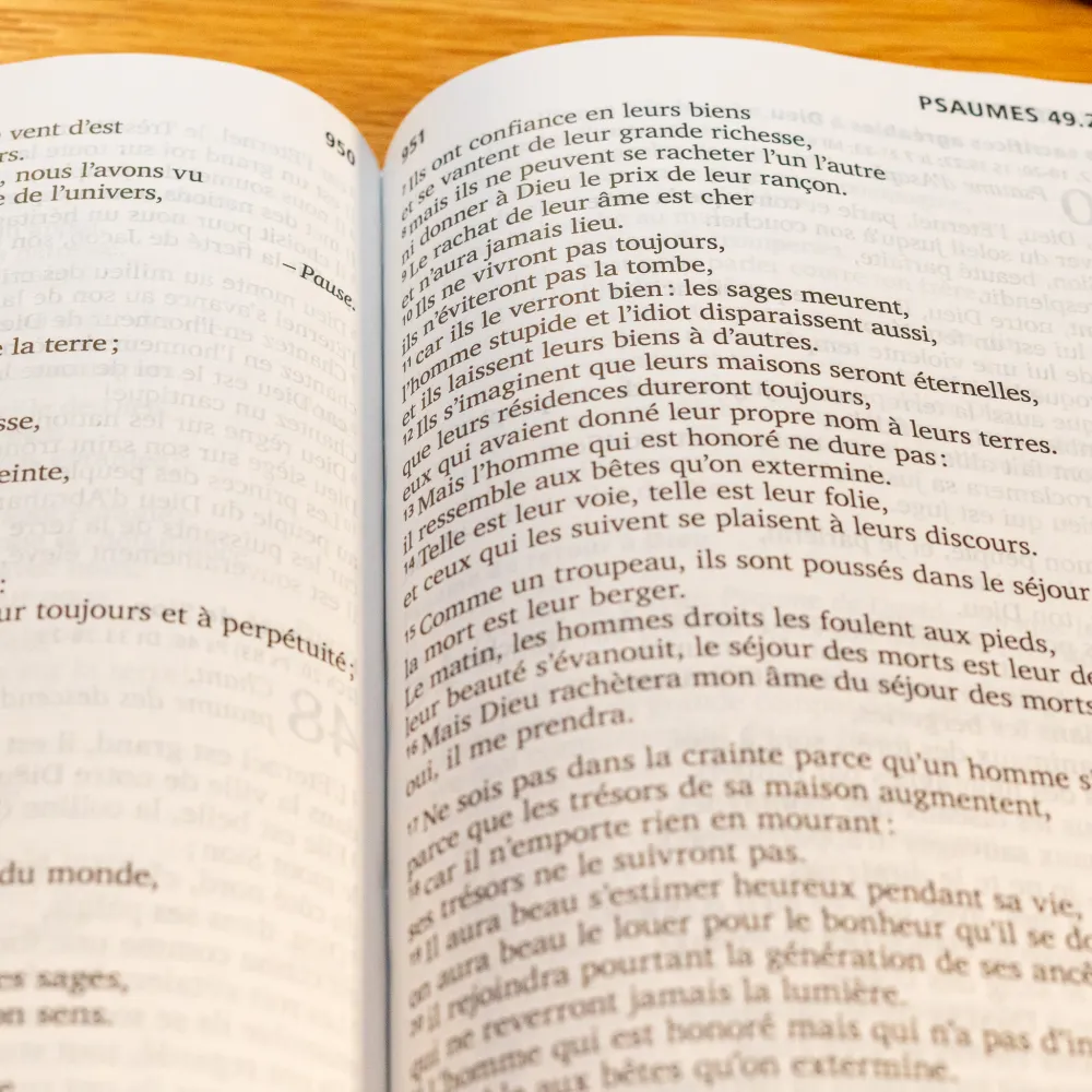 BIBEL SEGOND 21, GROSSDRUCK, ILLUSTRIERT