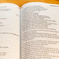 BIBEL SEGOND 21, GROSSDRUCK, ILLUSTRIERT