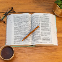 BIBEL SEGOND 21, GROSSDRUCK, ILLUSTRIERT