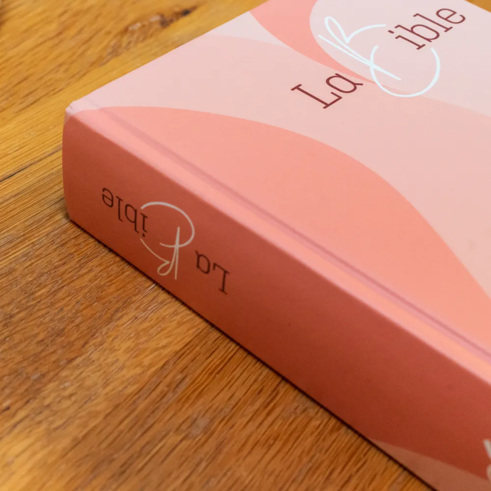 BIBEL SEGOND 21, GROSSDRUCK, ILLUSTRIERT