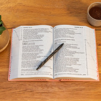 BIBEL SEGOND 21, GROSSDRUCK, ILLUSTRIERT