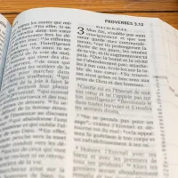 BIBEL SEGOND 21, GROSSDRUCK, ILLUSTRIERT