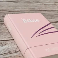 Segond 21 Bibel französisch kompakt - Hardcover rosa Marshmallow