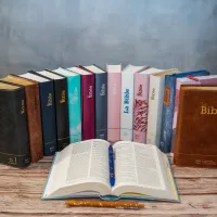 Bibel Segond 21 französisch (premium style) - Softcover aus Leinen mit Blättermuster, mit...