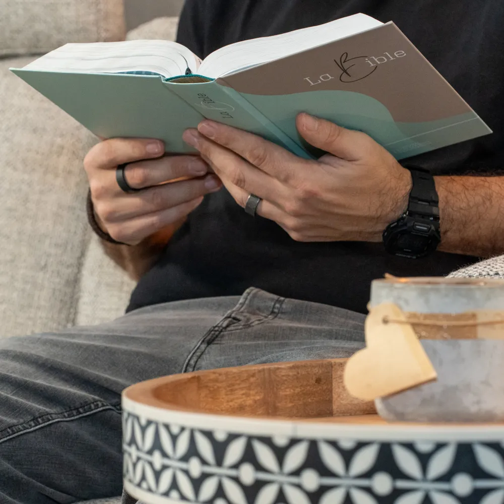 BIBEL SEGOND 21, GROSSDRUCK, ILLUSTRIERT