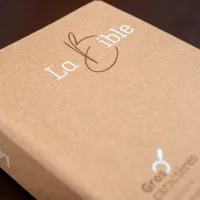 BIBEL SEGOND 21, GROSSDRUCK,