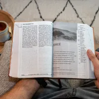 BIBEL SEGOND 21, GROSSDRUCK,