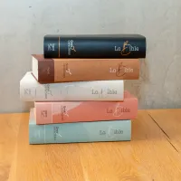 BIBEL SEGOND 21, GROSSDRUCK,