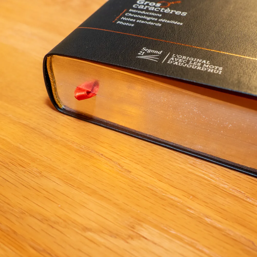 BIBEL SEGOND 21, GROSSDRUCK,