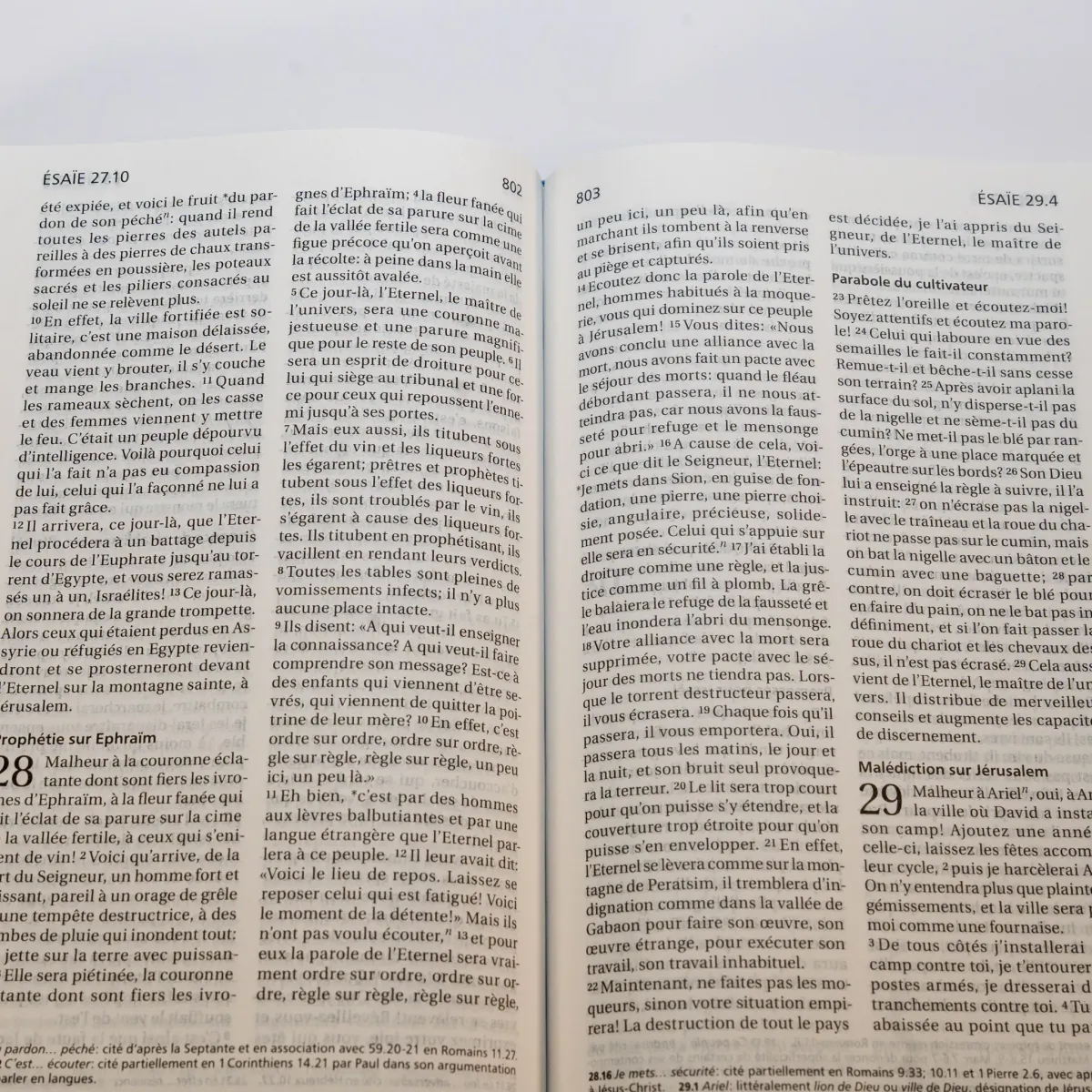 Bibel Segond 21 französisch (premium style) - Softcover aus Leinen mit Blättermuster, mit...