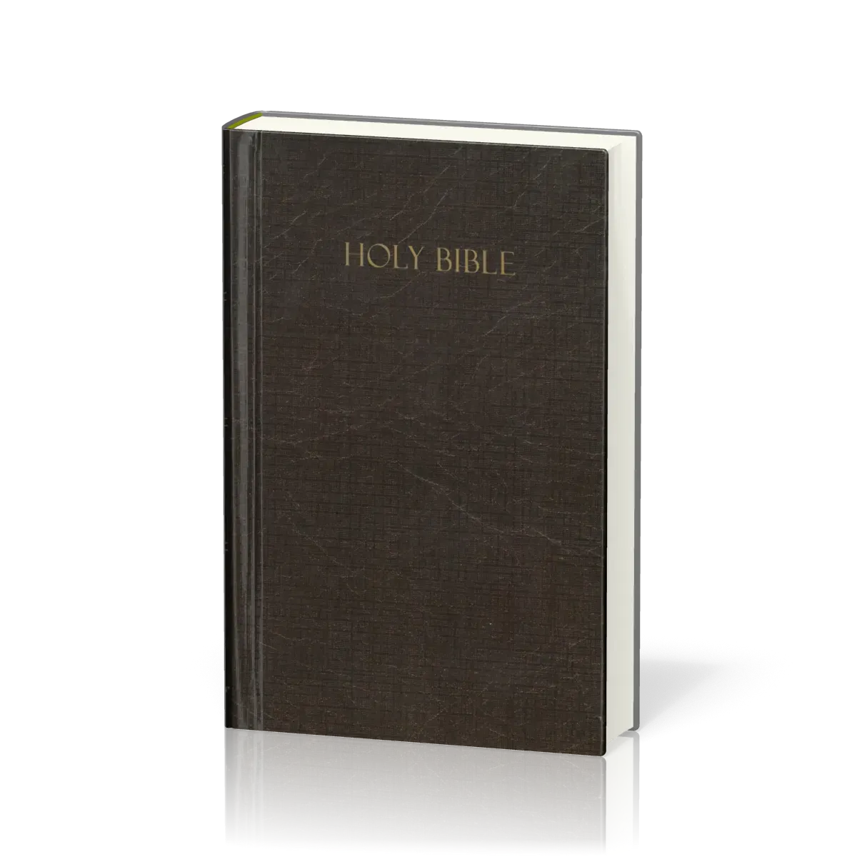 Englisch, Bibel Amplified, kompakt, kartonniert, braun mit illustrierter Umschlag