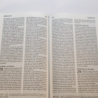 Segond 21 Bibel kompakt, französisch - bedrucktes Hardcover