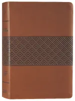 Englisch, Studienbibel Christian Standard Bible, braun