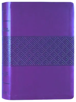 Englisch, Studienbibel Christian Standard Bible, weinrot