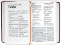 Englisch, Studienbibel Christian Standard Bible, weinrot