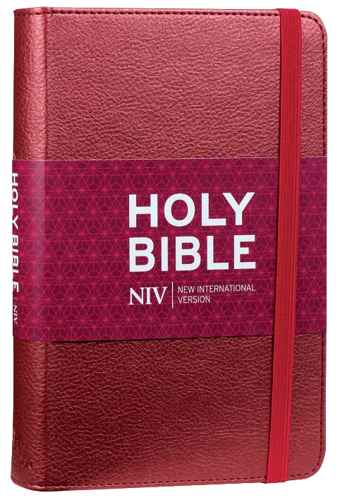 Englisch, Bibel New International Version, Thinline, rot