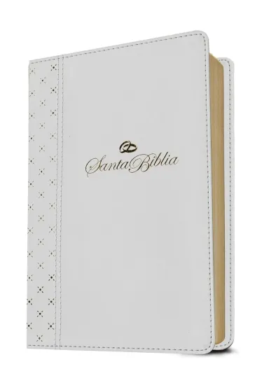 Espagnol, Bible, Nueva Traduccion Viviente, moyen format, grandes lettres, Filament Edition,...